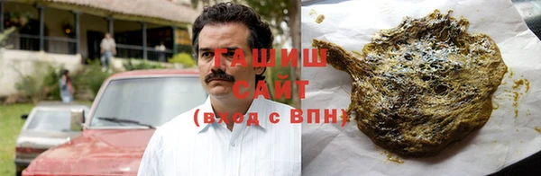 прущие грибы Заводоуковск