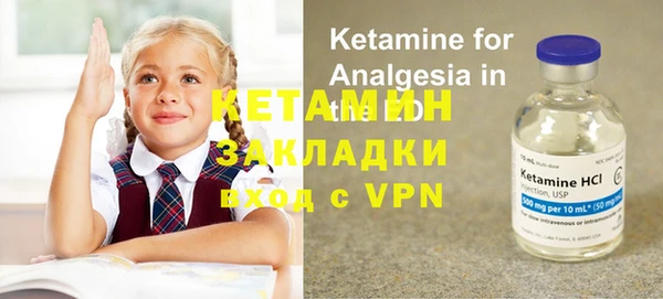 прущие грибы Заводоуковск