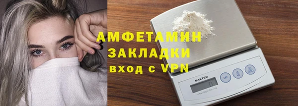 прущие грибы Заводоуковск
