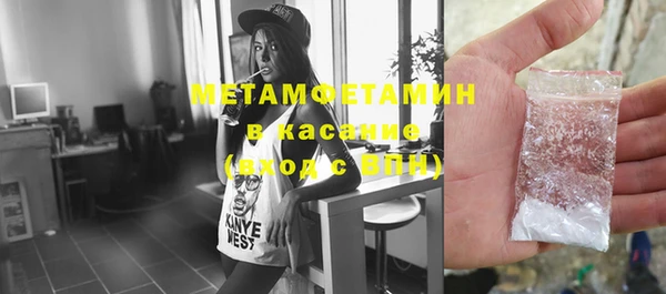 прущие грибы Заводоуковск