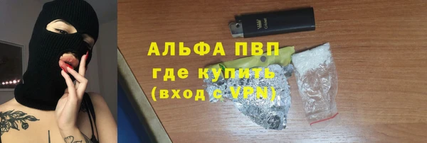 прущие грибы Заводоуковск