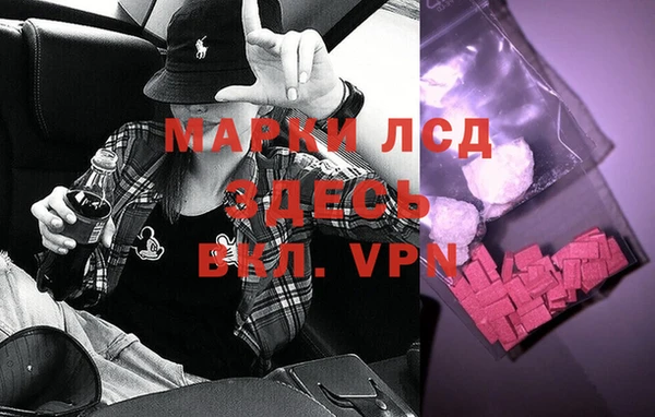 прущие грибы Заводоуковск