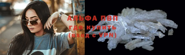 прущие грибы Заводоуковск