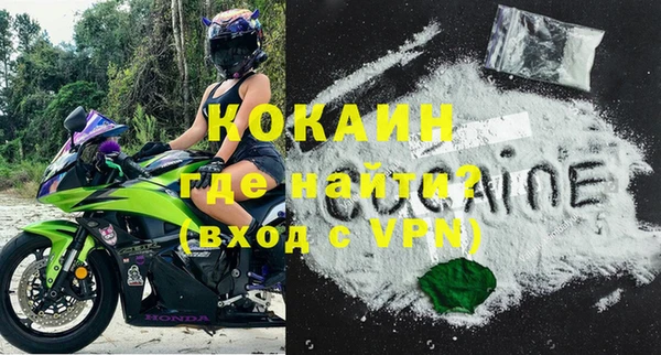 прущие грибы Заводоуковск